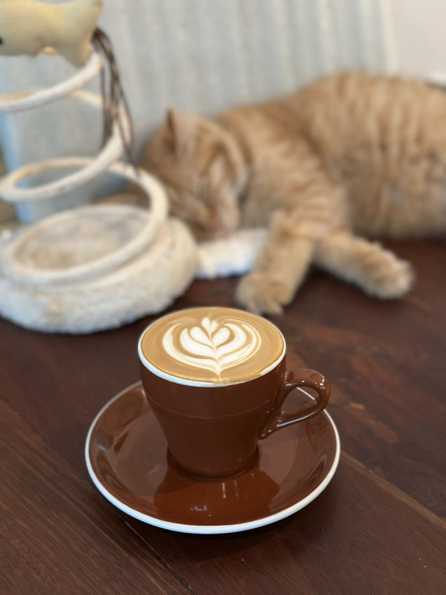 Muslim-run cafe that serves impeccable espresso 