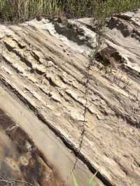“Lambir Hills: Unraveling the Geological Tapestry of Sarawak’s Sandstone Legacy”