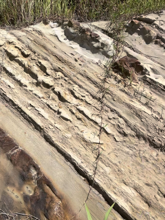 “Lambir Hills: Unraveling the Geological Tapestry of Sarawak’s Sandstone Legacy”