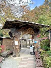 【山梨県】具だくさん最強のほうとう