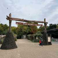 Tennoji Zoo (天王寺動物園) – A Relaxing Family-Friendly Attraction