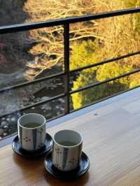 野趣溫泉酒店：水のみち 風のみち 湯ヶ島たつた #伊豆湯之島 #東京近郊