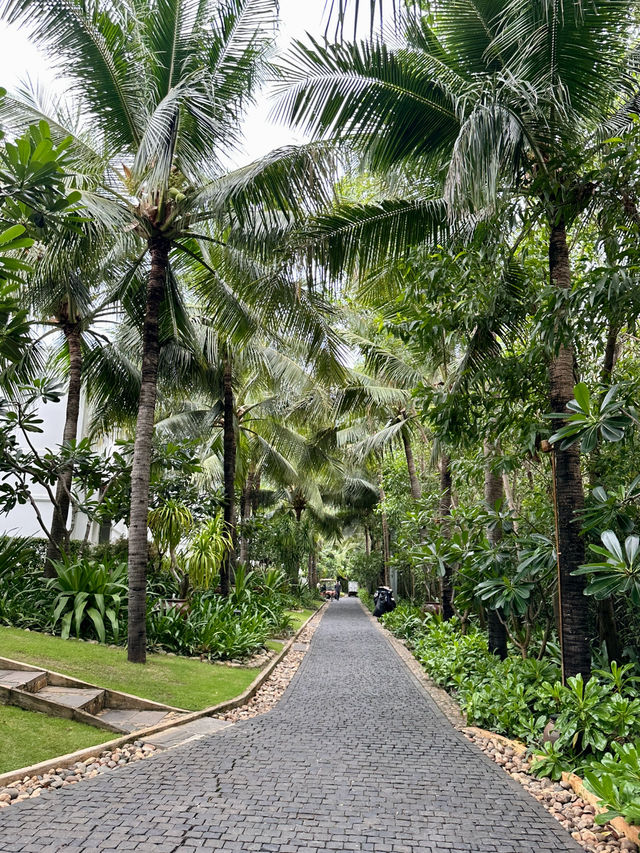 🇻🇳나트랑 호캉스는 디아남캄란에서🍃