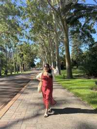 Kings Park Adventure: Nature, Views & Culture