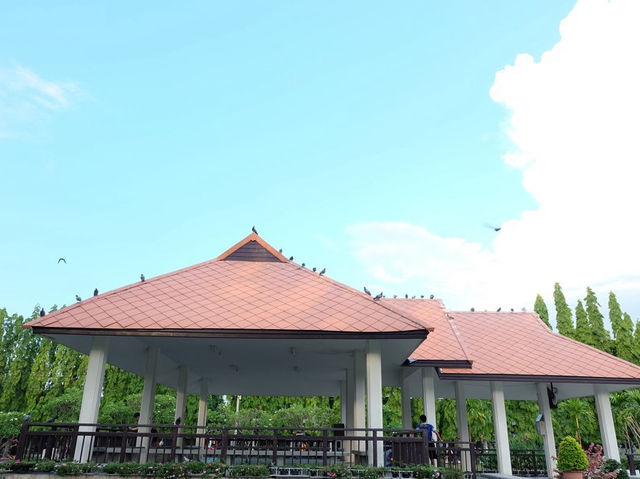 สวนสาธารณะหนองบวกหาด จ.เชียงใหม่