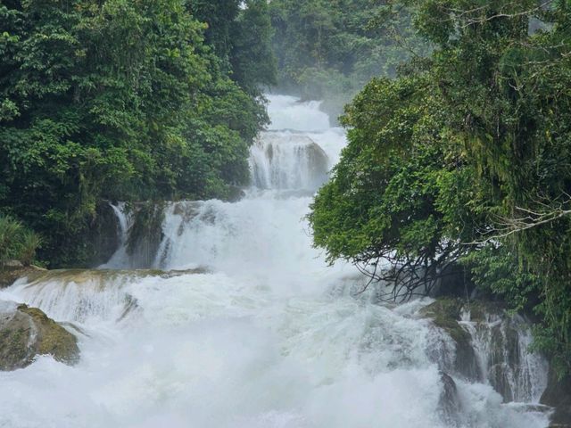 Davao 8 Days Itinerary