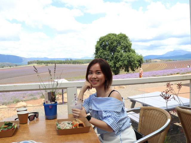 4-Day Tasmania Itinerary: Mountains, Wildlife & Lavender Fields 💜