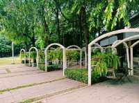 泰國曼谷市中心老城區著名地標性景點：暹羅博物館，歐式花園型博物館，十九世紀歐式建築，適合打卡拍照📸親子遊