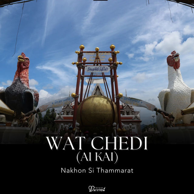 ขอได้ ไหว้รับ! ตามรอยศรัทธาไอ้ไข่ วัดเจดีย์ นครศรี