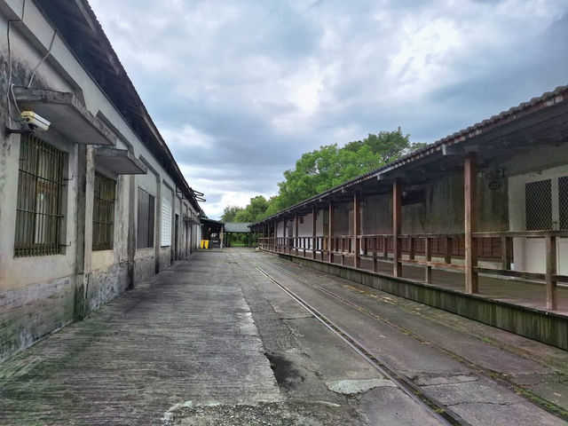花蓮觀光糖廠