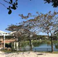 Okinawa Comprehensive Athletic Park