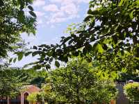 A Peaceful Escape to Mureung Byeol Yucheonji in Donghae