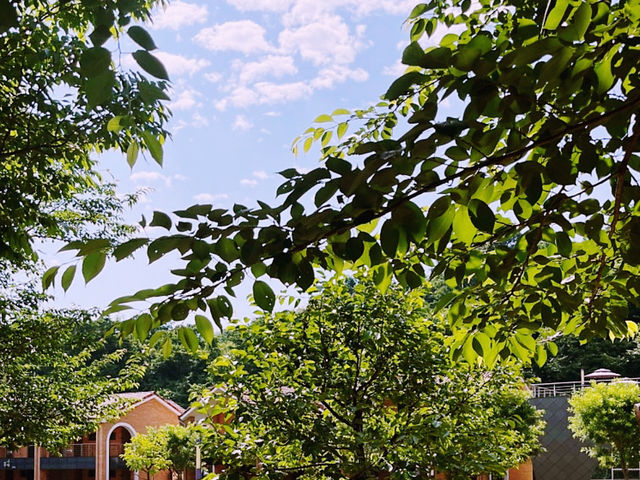 A Peaceful Escape to Mureung Byeol Yucheonji in Donghae