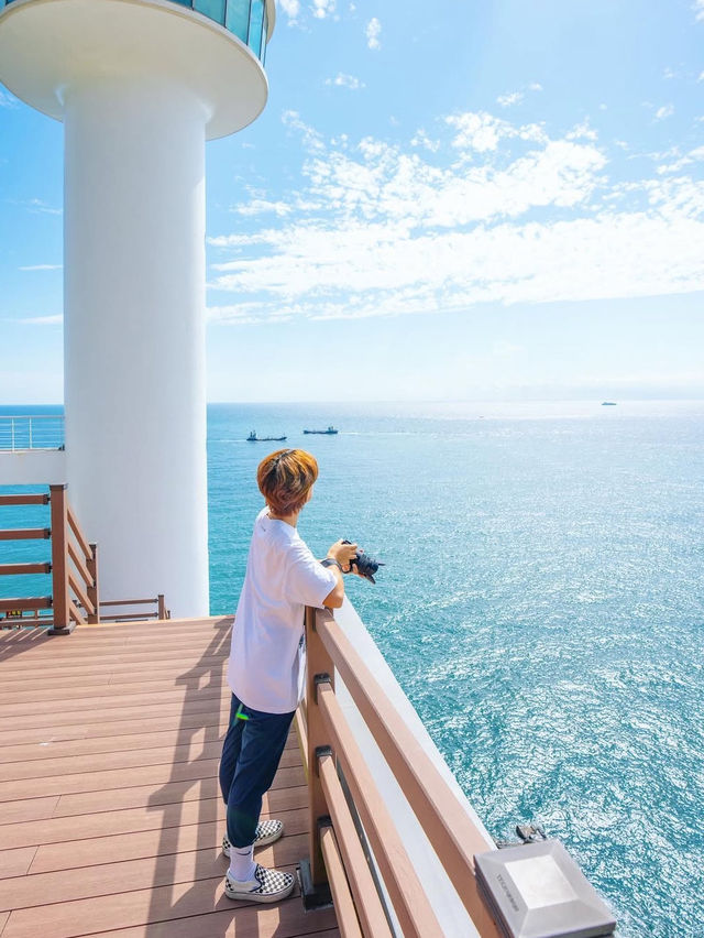 부산 여행 가볼만한 곳 태종대 유원지🌊🌿