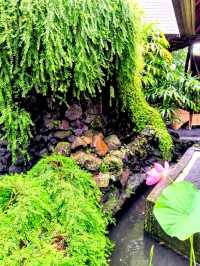 A rainy morning's exploration of Tastes of Taksu, Ubud.