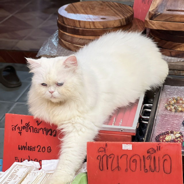เที่ยวหมู่บ้านอิต่อง 2 วัน 1 คืน 