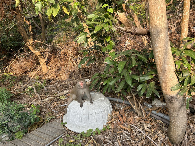 被低估的景點