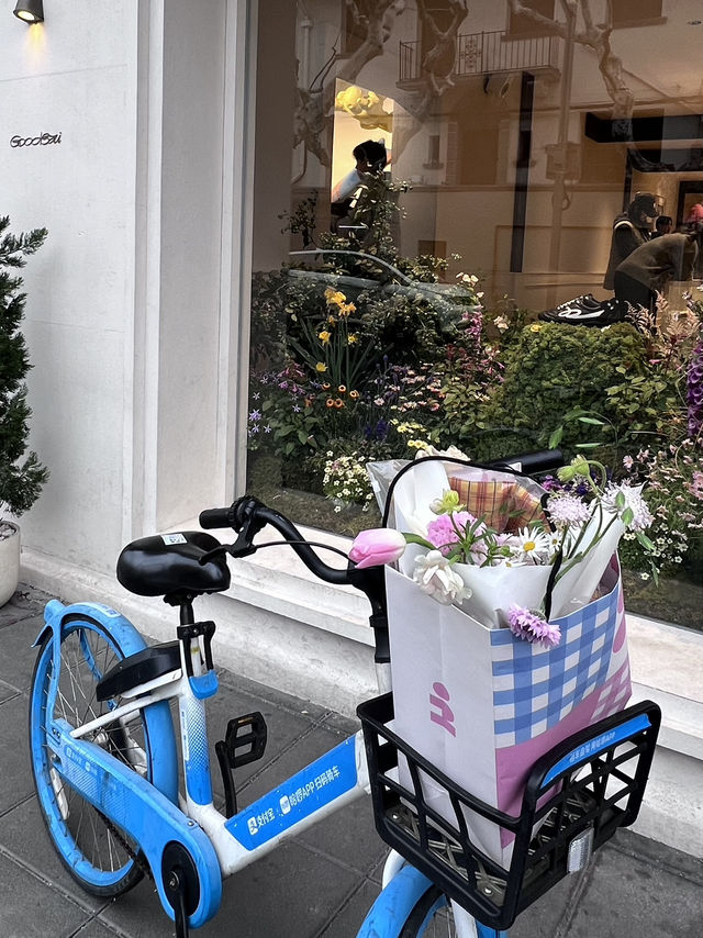 Citywalk & Bike Ride: Discovering Shanghai’s Best Streets 🚴