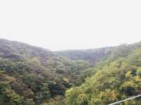 สะพานแขวน Kurenai ชมวิวธรรมชาติสุดชิล