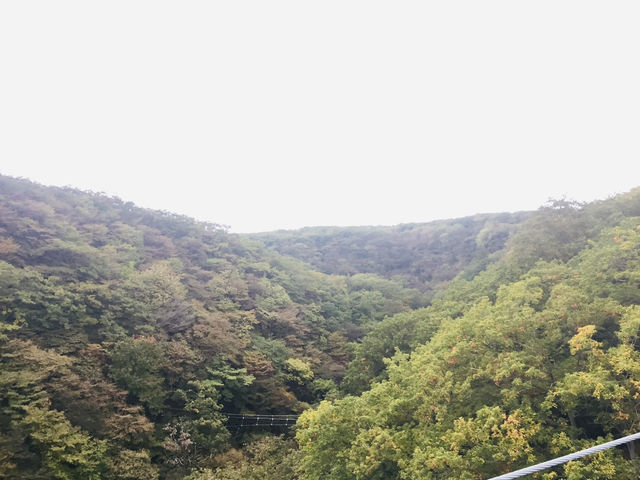 สะพานแขวน Kurenai ชมวิวธรรมชาติสุดชิล