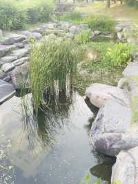 首爾｜一日遊｜從北村韓屋村出發