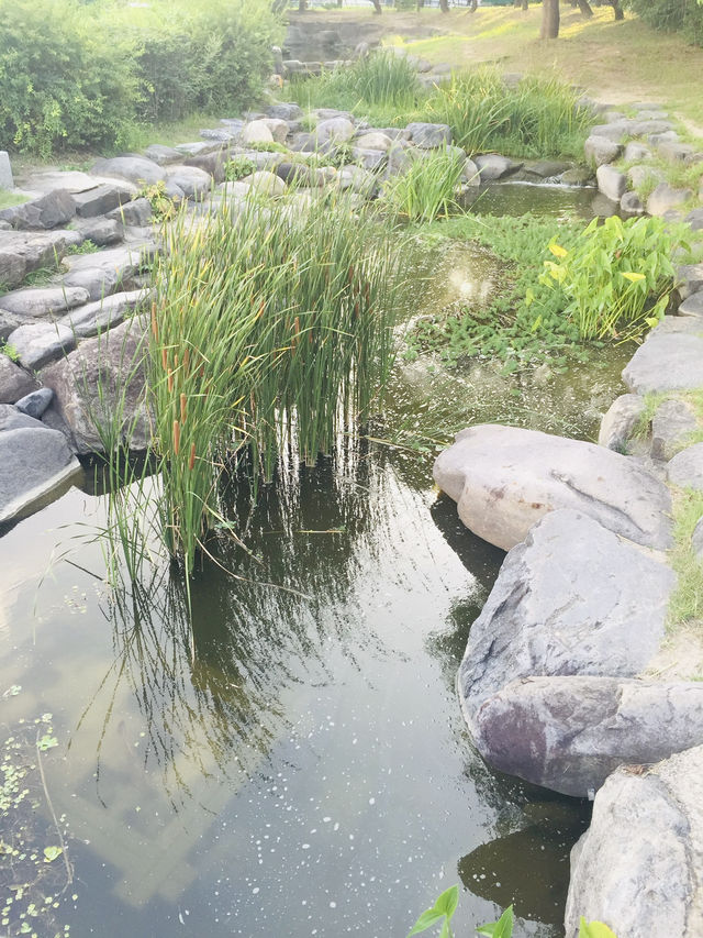 首爾｜一日遊｜從北村韓屋村出發