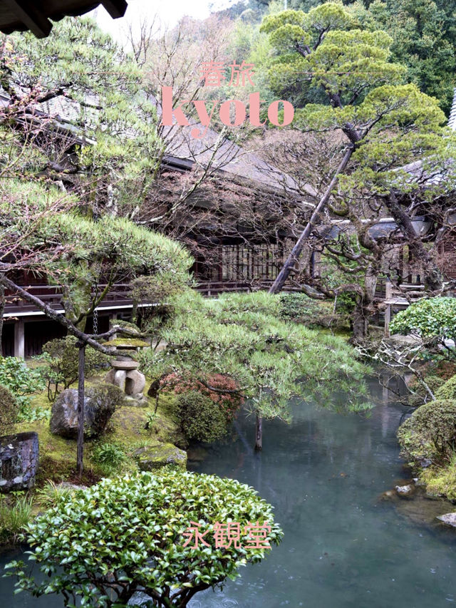 【京都×春旅】  風情ある景色、庭園、建築技術は素晴らしい
