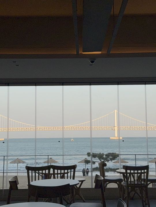 광안리의 봄, 바다와 벚꽃이 어우러진 낭만 가득한 시간 🌸🌊