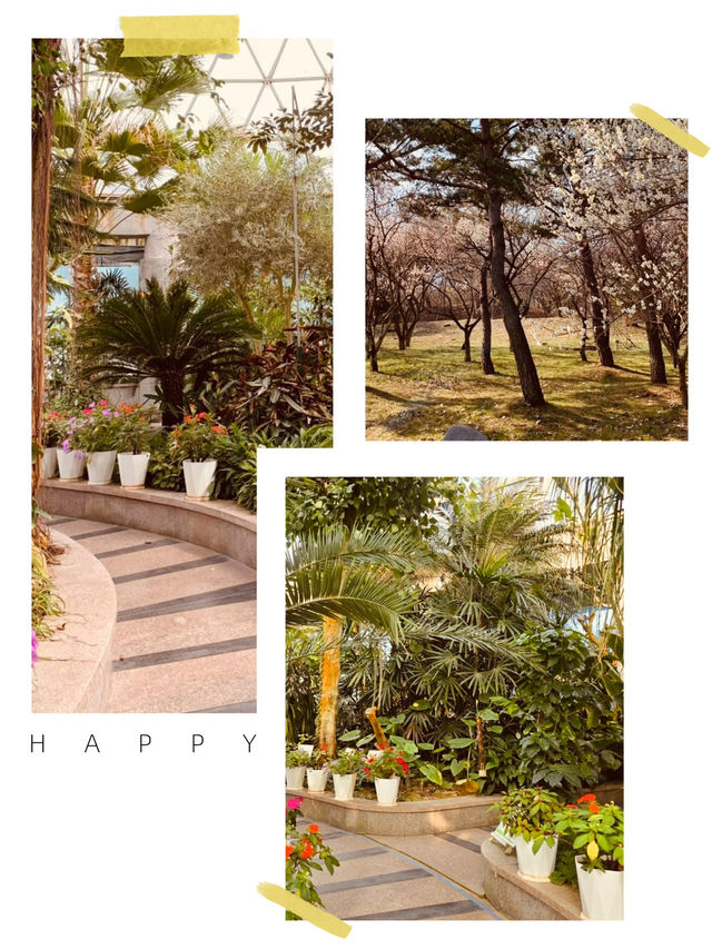 Spring's Silent Sanctuary? Geumgang Arboretum Delivers