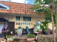【自然とアクティビティを満喫！山梨ツアー🚗🌿🍷】