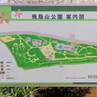 東京王子站-飛鳥山公園，當地日本人的賞櫻野餐景點