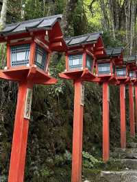 Spring Day Trip to Kifune Shrine🍃