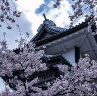Kanazawa: Where Samurai History Meets Artistic Elegance