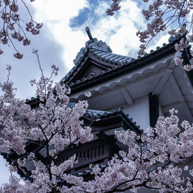 Kanazawa: Where Samurai History Meets Artistic Elegance