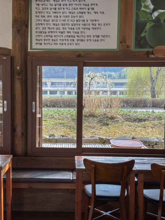 순천만국가정원 힐링하기 좋은 카페 추천