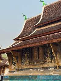 วัดเชียงทอง หลวงพระบาง ลาว 🤍🧡