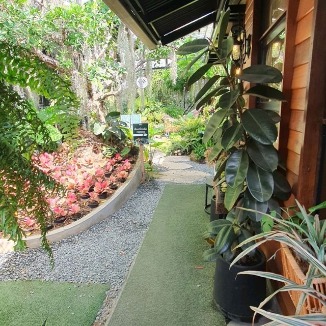 🍸Grid Garden Cafe ✨️คาเฟ่ในหมอกท่ามกลางสวนสวย