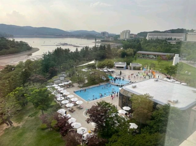 힐튼 경주 수영장