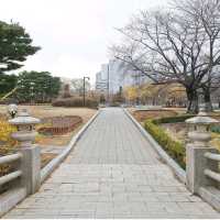Ilsan Lake Park – A City Retreat in Full Bloom