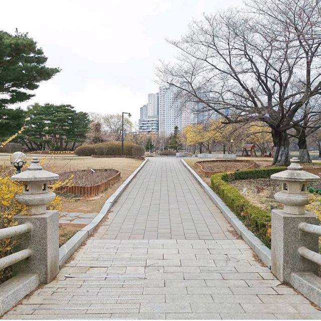 Ilsan Lake Park – A City Retreat in Full Bloom