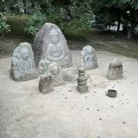 金閣寺的金色夢幻：探索京都的歷史瑰寶