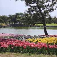 海之中道鬱金香節 – Uminonakamichi Tulip Festival