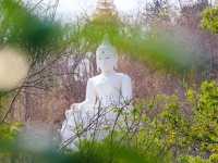 วัดป่าภัทรปิยาราม 