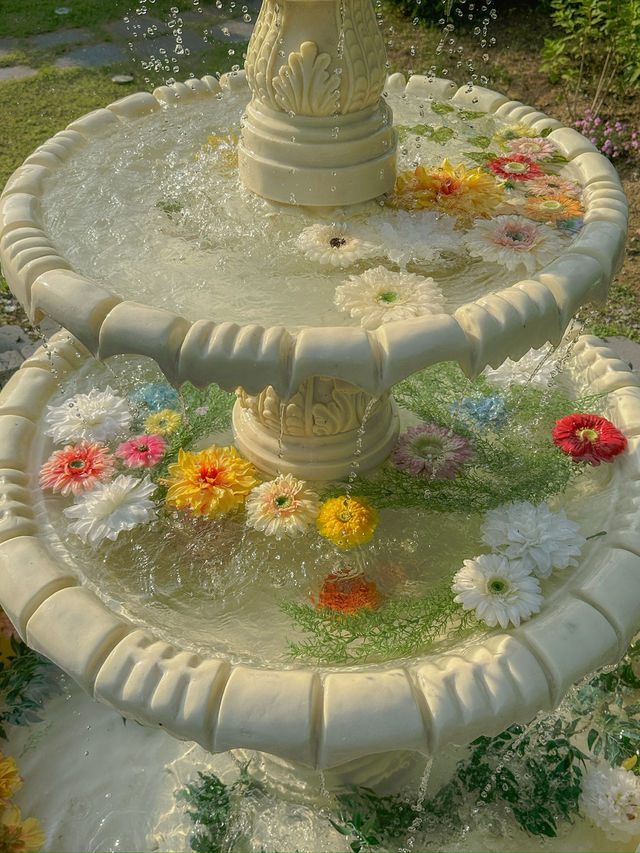 여기가 바로 양평의 작은 남프랑스 💛🌼