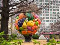 “Spring in Seoul: Yeouido’s Cherry Blossom Symphony”