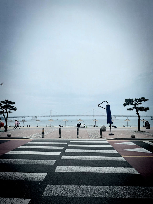 Having Moment in Busan 