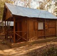 住進Kirindy森林保護區