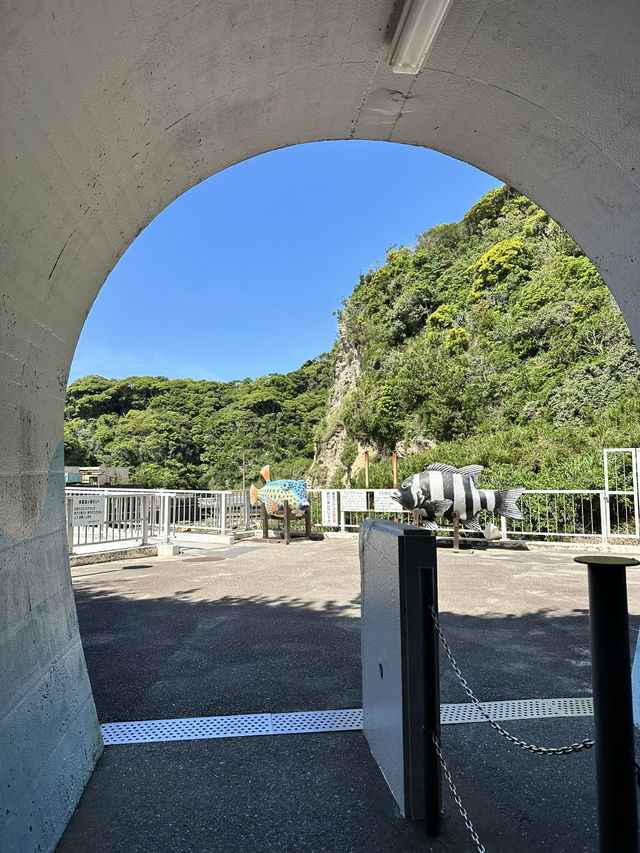【千葉】展望塔までの道のり 開放感と海の絶景を楽しめます