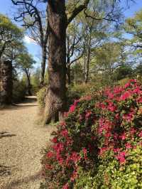 Richmond Park