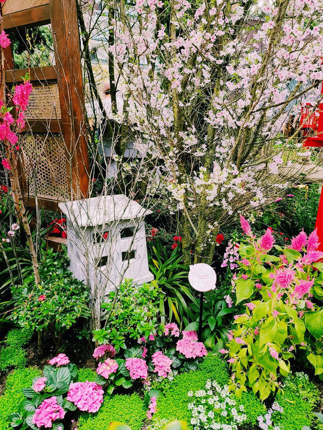 A Blossoming Experience at Gardens by the Bay